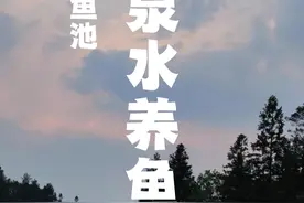 如何把莲花鱼池改造成梦中鱼池？！！ #养鱼 #改造 #记录我的农村生活 #山泉水 #养鱼日记视频封面