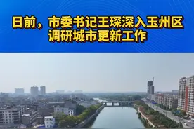 推进城市更新！王琛深入玉州调研 视频封面