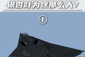 超远程空战（1）：银杏叶为啥那么大？六代机为啥长这样？ #银杏叶 #预警机 #空战 #六代机  #迎合深度计划视频封面