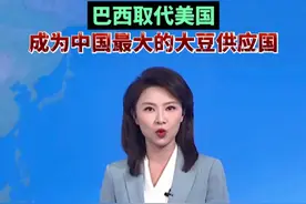 巴西取代美国 成为中国最大的大豆供应国 视频封面