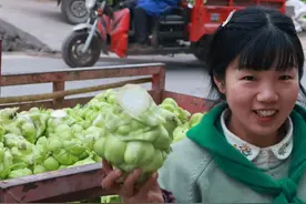 涪陵榨菜头‘绿长龙’出村炸街，勤劳人的元宵节很特别视频封面