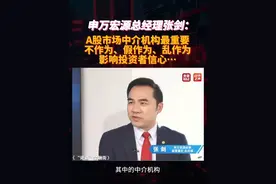 券商老总发声！中介机构不作为、假作为、乱作为，影响股民信心！ 申万宏源总经理张剑：A股市场中介机构最重要，不作为、假作为、乱作为，影响投资者信心！视频封面