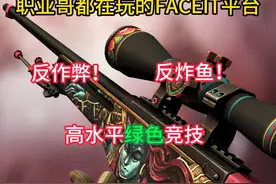 FACEIT平台下载及注册教程 还在被天赋怪和炸鱼哥一口一个ez困扰