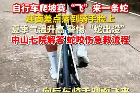 #自行车爬坡赛飞来一条蛇 迎面差点落到骑手脸上，夏季气温升高 警惕“蛇出没”，蛇咬伤急救流程要记牢！视频封面