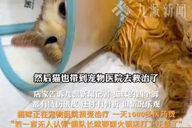 5月3日（采访时间），重庆，#店家回应小猫掉入火锅热汤溅到9名顾客 ： 小猫和顾客都送医检查，若后期无人认领，猫咪将在店里打工还债。#掉入火锅小猫已送医治疗 。视频封面