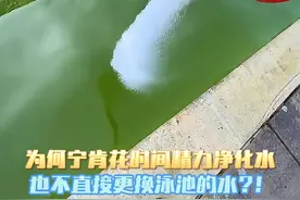 为何选择净化泳池的水而不是直接换掉？！ #涨知识
