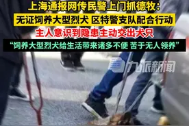 10月24日，#上海通报网传民警上门抓德牧 ：无证饲养大型烈性犬，区特警支队配合行动，主人意识到隐患主动交出犬只。视频封面