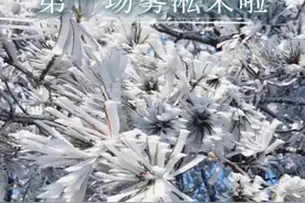 终于等到了！2024年福建的第一场雾凇来啦！简直美哭！#雾凇#冬日#来福地品福茶福味#海丝起点清新福建视频封面