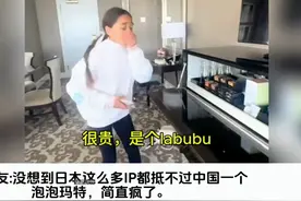 有必要为一个玩具那么疯狂吗？外国网友开箱泡泡玛特labubu视频封面
