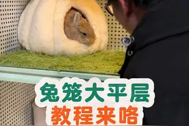 历时29天，从短袖到棉衣，大平层兔笼终于做好啦！ #养兔子 #自制兔笼 #教程视频封面