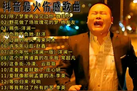好听到撕心裂肺的抖音伤感歌曲合集 2024抖音最火热歌 抖音热歌视频封面