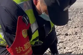 救助了一只凶巴巴的白骨顶鸡#你好守护者联盟 #爱护大自然保护野生动物 视频封面