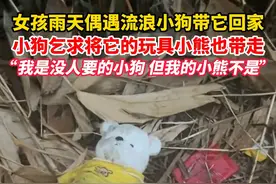 #山东济宁 女孩雨天偶遇流浪小狗带它回家，小狗乞求将它的玩具小熊也带走，“我是没人要的小狗 但我的小熊不是”视频封面