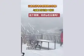 看雪！ 云南给游客的假期限定惊喜！视频封面