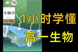 准高一集合！一个视频学懂 高一生物！ #生物必修一 #准高一视频封面
