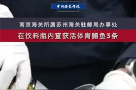 南京海关在饮料瓶内查获活体青鳉鱼3条。 南京海关所属苏州海关驻邮局办事处在对1件申报为“饮料”的进境邮件内，发现3个装有液体的饮料瓶，瓶中装有活体鱼3条，鱼长2～3厘米。经技术机构鉴定，该批活体鱼为青鳉鱼。海关已依法暂扣该邮件。根据《中华人民共和国生物安全法》和《中华人民共和国进出境动植物检疫法》及其实施条例等法律法规规定，“未经批准，不得擅自引进外来物种”“禁止携带、寄递活体动植物进境”。#南京 #苏州 #饮料 #鱼 #动物