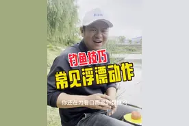了解钓鱼浮漂出口动作，精准抓口。 #原来钓鱼才是抖音运动顶流 #2024dou来钓鱼 #钓鱼 #钓鱼技巧视频封面