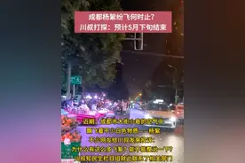 毛҉毛҉毛҉毛҉毛҉……杨絮问题看这里#成都杨絮 #健康视频封面