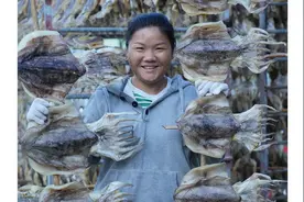 海味凝缩成干日久不散，需要时发开来鲜味流溢，墨鱼干就是如此