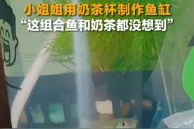 4月8日，山东潍坊，小姐姐用奶茶杯做了一个“鱼缸”。网友:鱼和奶茶都没想到，还能有这种组合。#山东dou知道