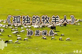 《孤独的牧羊人》排箫演奏，空灵优美~听了一遍又一遍视频封面