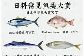 日本料理店常见生鱼寿司用的鱼类，产地！看过来！图片