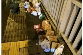头条创作挑战赛#关于“胖猫”（也被某些报道称为图片