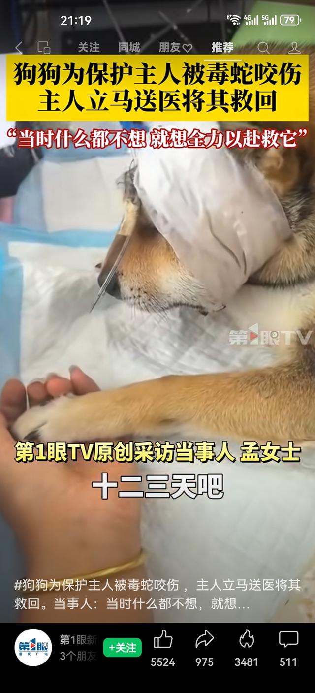 你会为救宠物拼尽全力吗