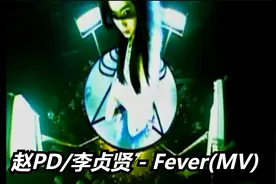 赵PD/李贞贤 - Fever(MV)