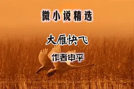 微小说：《大雁快飞》作者申平