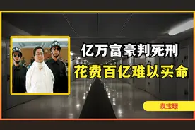 身价500亿富豪挑战法律，临刑前想捐献百亿身家换自己一命视频封面