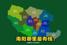 南阳所辖1市2区10县当中，哪里的人一年手里的“余额”最多？
