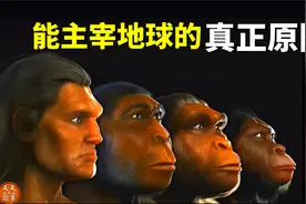人类能主宰地球的真正原因:想象力 | 畅销书《人类简史》解读视频封面