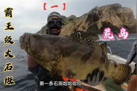 装载3000多物资奔赴远海荒岛，阿锋首潜告捷2分钟盘中霸王大石斑视频封面