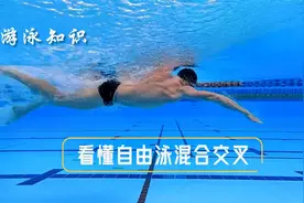 一个视频教你看懂自由泳混合交叉（颠簸游）究竟是怎么游的？视频封面