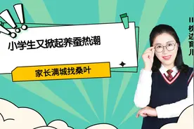 小学生又掀起养蚕热潮，家长满城找桑叶，形式主义教育有必要吗？视频封面