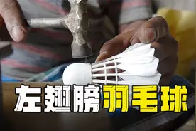 最好的羽毛球必须要用左翅膀的鹅毛，你不知道把！