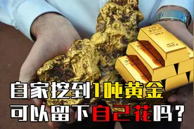 在自家院子挖到1万吨黄金，必须上交国家，还是可以留下自己花？视频封面