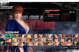 死或生5最后一战单机电脑游戏视频封面