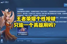 王者荣耀个性按键只能一个英雄用吗？