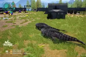 ⑤恐龙岛吞噬进化，这游戏没点智商还玩不了，全是老六啊，先进化视频封面