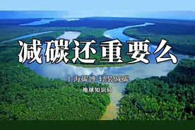 所以，这么搞算不算减碳？【地球知识局】视频封面