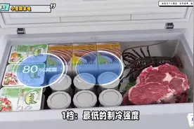 冰柜1-6档位哪个最冷？揭秘冰柜最佳冷藏秘诀！视频封面