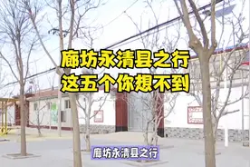 廊坊永清县之行,这五个你想不到