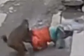 3岁女童疑被野猴抓走，民警搜索2小时在悬崖边寻回，家属发声视频封面