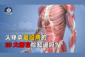 人体中最没用的10个器官，这些人体器官存在的意义在哪？视频封面