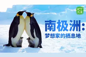 《南极洲：梦想家的栖息地》——南极洲的生活是如何的呢