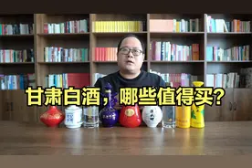 甘肃白酒总评：红川酒、金徽酒、汉武御、九粮液哪个值得买？视频封面