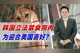 韩国立法禁食狗肉！为迎合美国喜好？可处3年以下有期徒刑或罚款视频封面