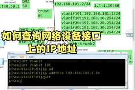 如何查询网络设备接口上的IP地址